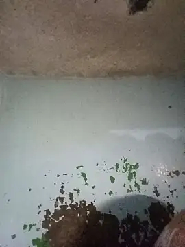 RandalHot online show from 14, 1, 2026