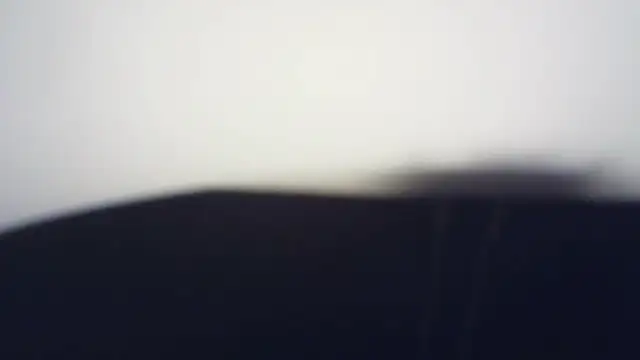 Terraelowen online show from 21, 3, 2026