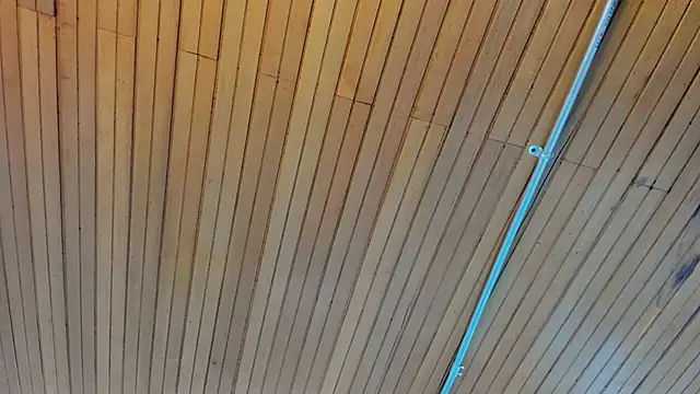 Snapshot of nicktorn chatting on 23, 2, 2026 nicktorn online show from 23, 2, 2026