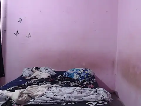 tianaprinc online show from 15, 11, 2025