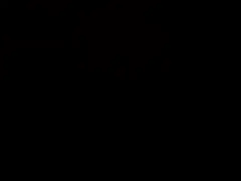 Hrnyallthetime online show from 17, 1, 2026