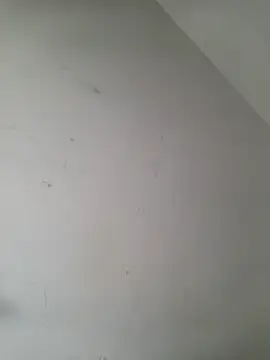 iamlalamilano online show from 29, 3, 2026