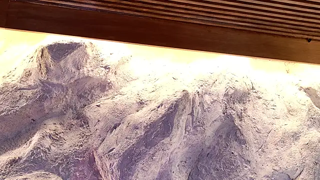 Snapshot of Katarina_Rostova chatting on 19, 11, 2025 Katarina Rostova online show from 19, 11, 2025