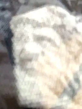 Snapshot of Zoe73_ chatting on 25, 2, 2026 Zoe73 online show from 25, 2, 2026