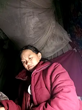 MaiHoa69 online show from 12, 3, 2026