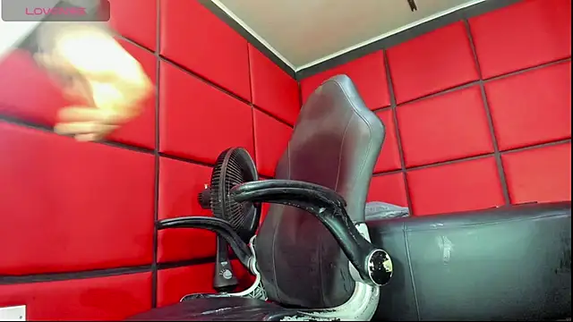 damian bull online show from 13, 2, 2026