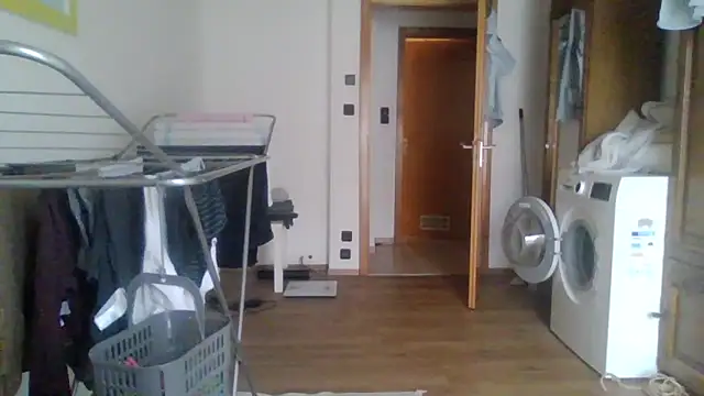 XLBarehengst online show from 1, 2, 2026