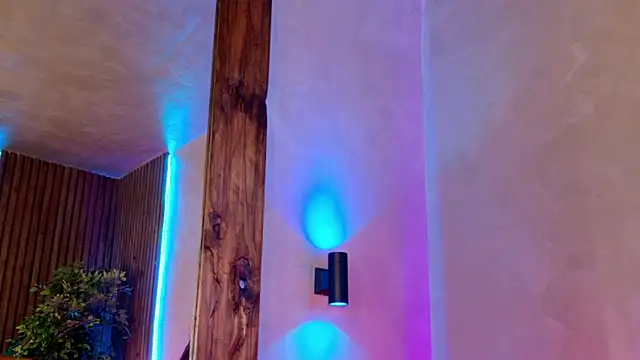 kaylie mitchel online show from 28, 2, 2026