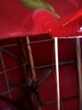 Johlrd online show from 4, 11, 2025