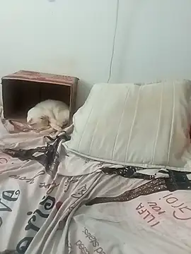 tany90 online show from 19, 11, 2025