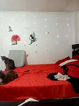 Lady 16 online show from 17, 2, 2026