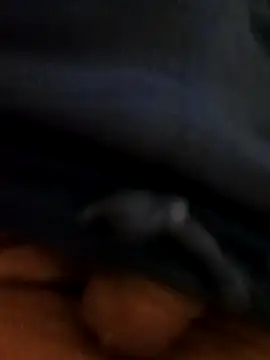 pegaso369 online show from 25, 10, 2025