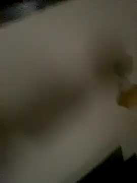 Snapshot of succy33 chatting on 15, 10, 2025 succy33 online show from 15, 10, 2025