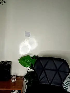 Nedambale online show from 10, 4, 2026