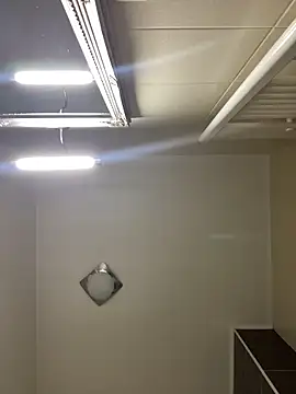 Snapshot of Lexi_Storm chatting on 2, 3, 2026 Lexi Storm online show from 2, 3, 2026