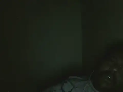 elpoop7305 online show from 14, 3, 2026