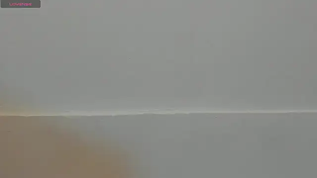 VioletRose as online show from 11, 2, 2026