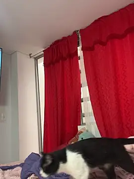 Snapshot of larsonbeverly chatting on 21, 4, 2026 larsonbeverly online show from 21, 4, 2026