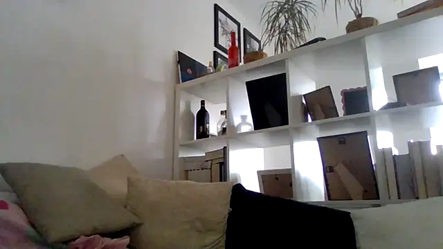 bigcockjohnxxxxx online show from 11, 11, 2025