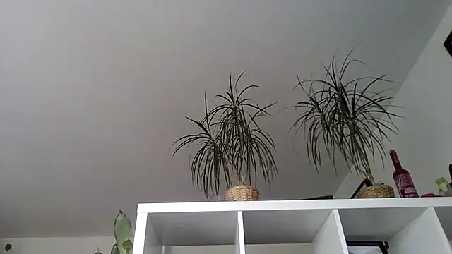 bigcockjohnxxxxx online show from 13, 11, 2025