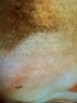 Snapshot of HOT-MUNDA chatting on 17, 12, 2025 HOT-MUNDA online show from 17, 12, 2025