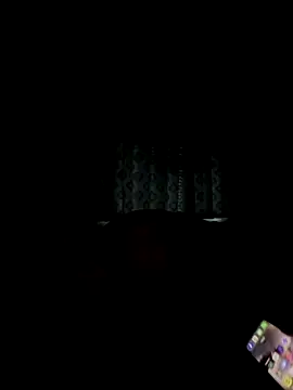 Snapshot of philefc chatting on 11, 10, 2025 philefc online show from 11, 10, 2025