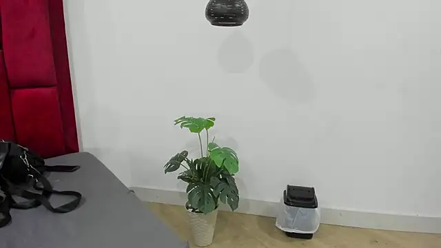 Snapshot of Mollyxketa1_ chatting on 2, 10, 2025 Mollyxketa1  online show from 2, 10, 2025