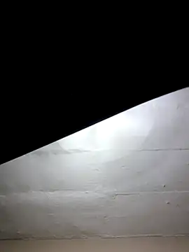 mileesha online show from 17, 1, 2026