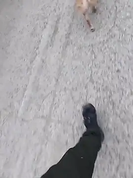 Snapshot of Axelitoc chatting on 5, 3, 2026 Axelitoc online show from 5, 3, 2026