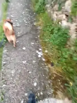 Snapshot of Axelitoc chatting on 16, 4, 2026 Axelitoc online show from 16, 4, 2026