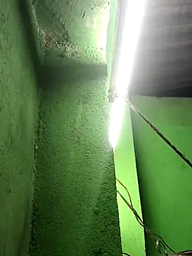 Hot-ilaiy online show from 12, 9, 2025