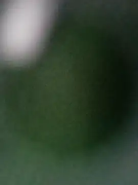 Snapshot of Punam_ji chatting on 28, 10, 2025 Punam ji online show from 28, 10, 2025