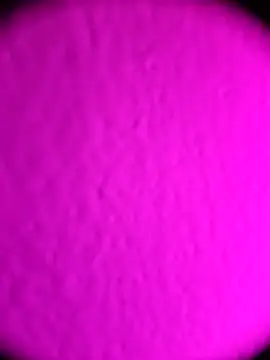 Michou02xXx online show from 18, 2, 2026