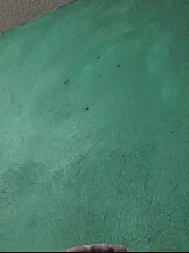 Snapshot of carlo20n chatting on 15, 10, 2025 carlo20n online show from 15, 10, 2025