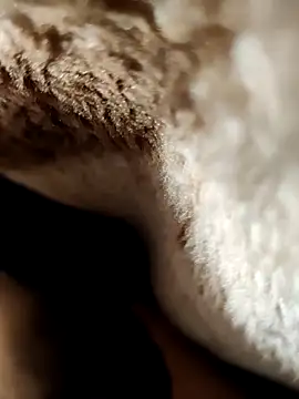 its Surya BBC online show from 16, 1, 2026