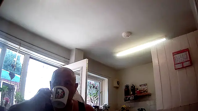 Snapshot of playfulchell chatting on 17, 7, 2026 playfulchell online show from 17, 7, 2026