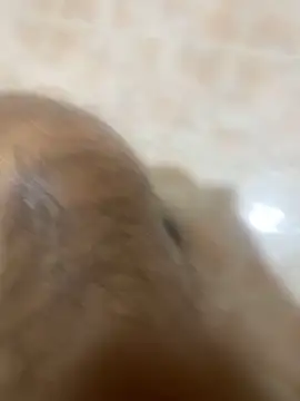 Snapshot of Binuthomas chatting on 24, 11, 2025 Binuthomas online show from 24, 11, 2025