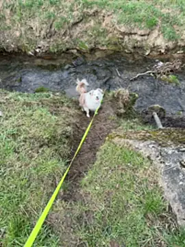 OliviaaFischer online show from 12, 3, 2026