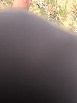 rajdehli online show from 1, 4, 2026