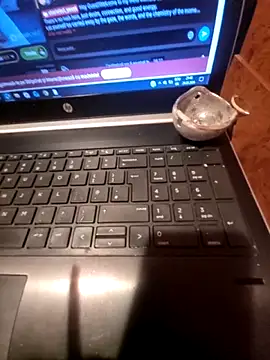 Lawrence067 online show from 24, 3, 2026