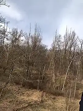 kot766 online show from 25, 3, 2026