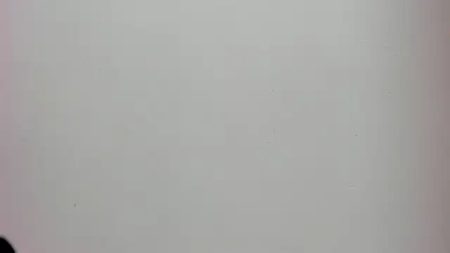 Saammy 17 online show from 2, 10, 2025