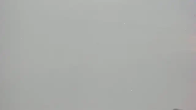 Saammy 17 online show from 7, 10, 2025