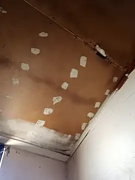 lucho2328 online show from 11, 11, 2025