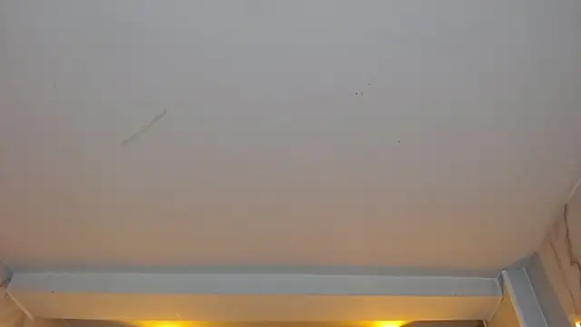 Snapshot of dania_b_ chatting on 19, 10, 2025 dania b online show from 19, 10, 2025