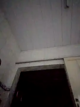 Snapshot of CadencedMimesis chatting on 28, 10, 2025 CadencedMimesis online show from 28, 10, 2025