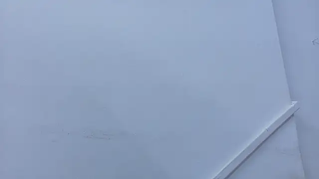 Lizbeth Rouse online show from 2, 11, 2025