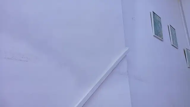 Lizbeth Rouse online show from 8, 11, 2025