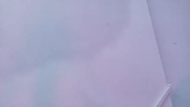 Lizbeth Rouse online show from 29, 11, 2025