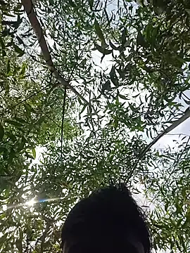 Snapshot of 96Rohon chatting on 21, 3, 2026 96Rohon online show from 21, 3, 2026